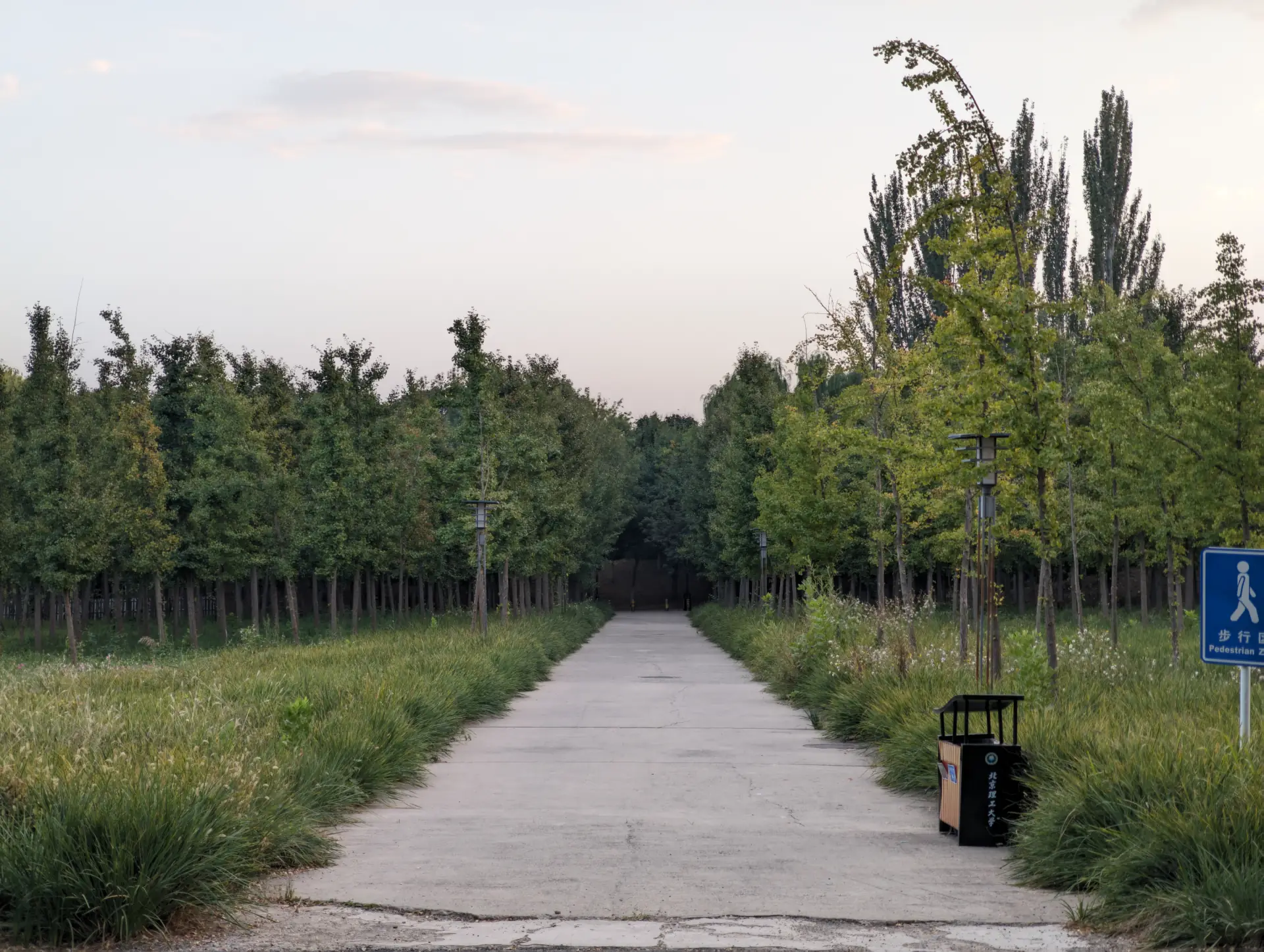 Pemandangan Musim Gugur